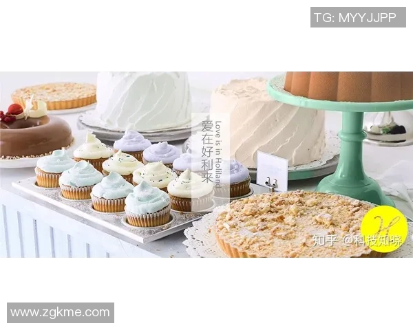 成都乒乓球队的阵地战策略与发展动态深度解析