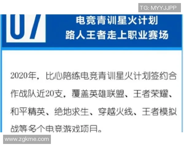 王者荣耀团队协作新高峰FPX展现出色配合引领赛场风潮